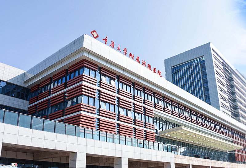 重庆网络公司的选购指南